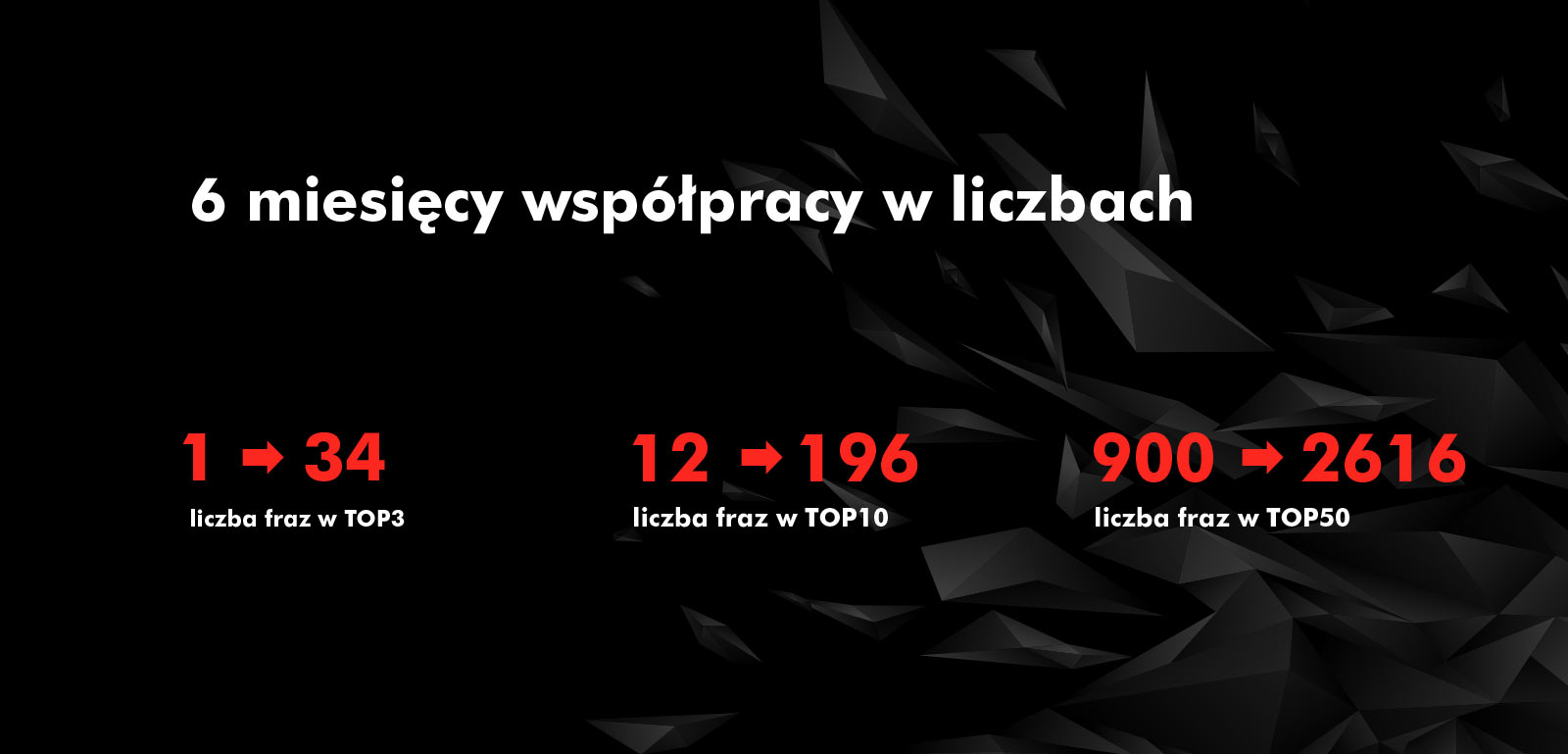 6 miesięcy SEO i 61% wzrostu z organika r/r